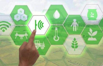 Ebpay海岳智粮·粮企云产品解决方案